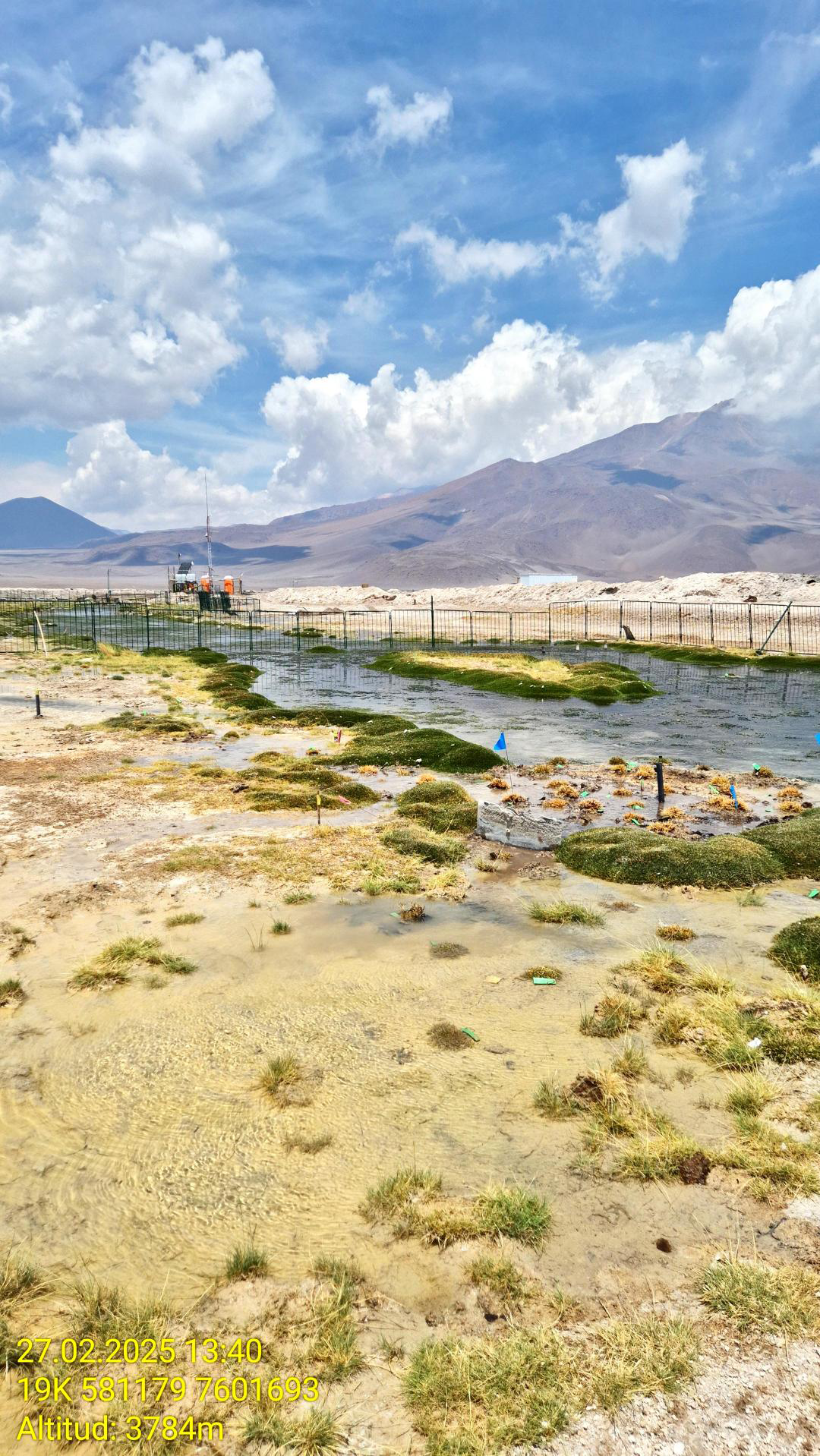 Sistemas de monitoreo ambiental en tiempo real: Levantamiento Líneas Base en humedales andinos