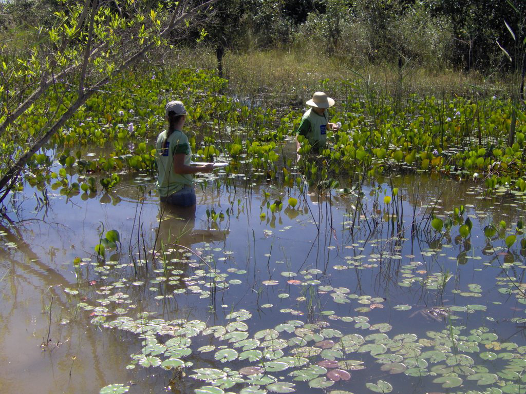 Equipo especializado en cuerpo de agua dulce. Para Evaluación, Gestión y Conservación de recursos hídricos