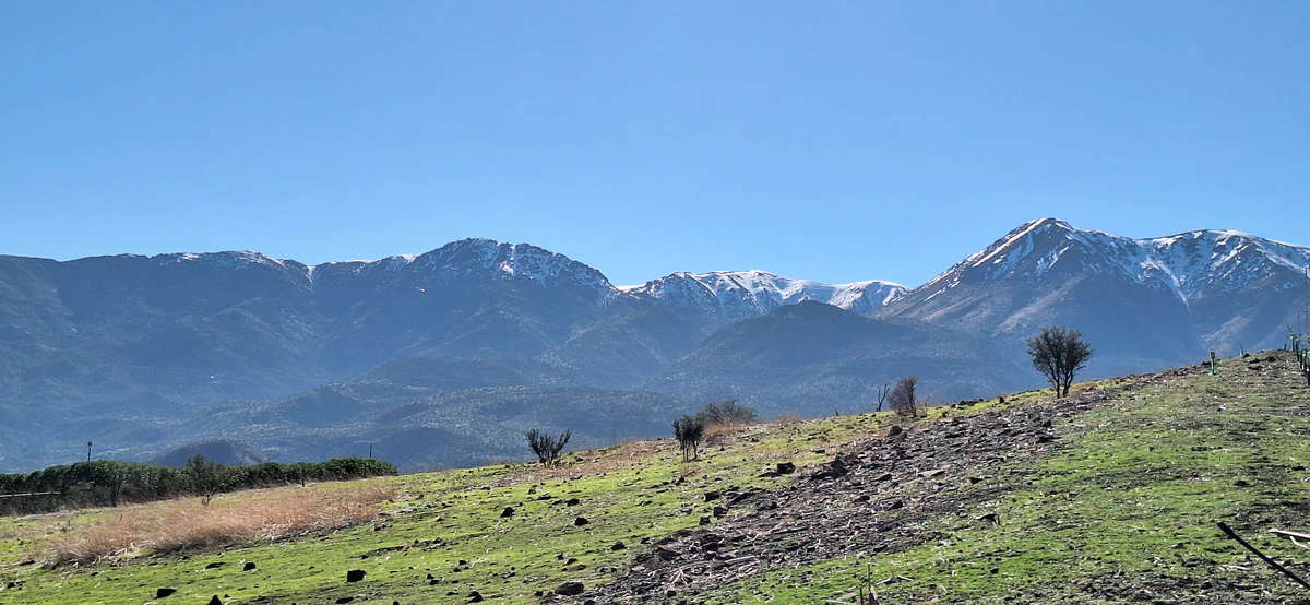 Hacienda Chacabuco