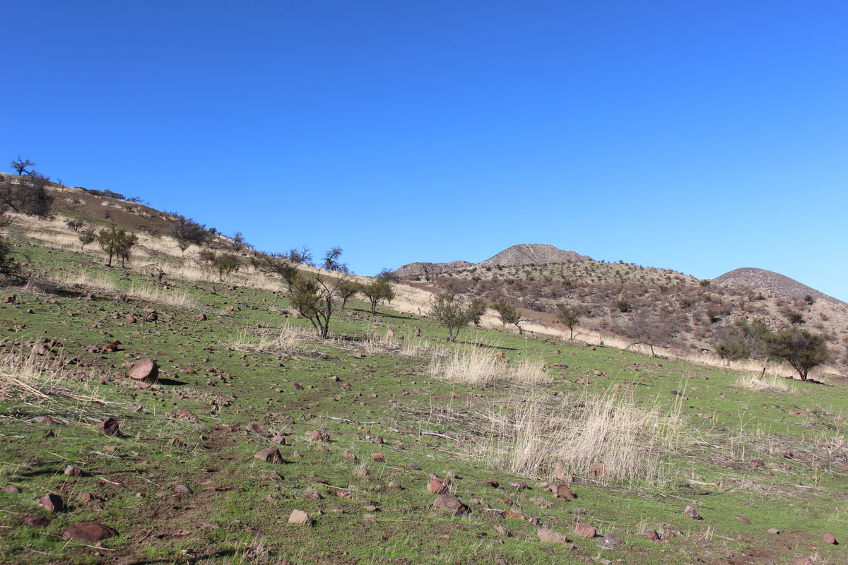Restauración — Fundo Chacabuco