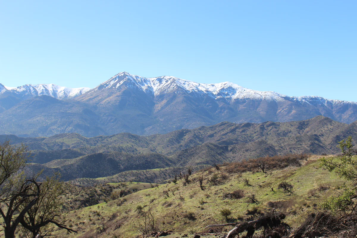 Área de forestación — Chacabuco