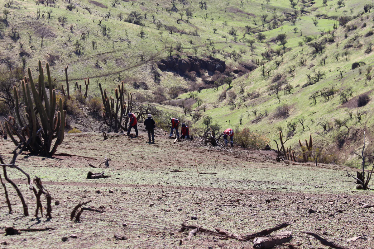 Seguimiento técnico — Chacabuco
